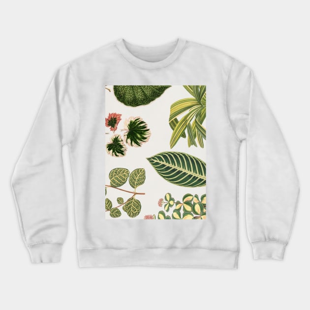 Green Botanical Print Crewneck Sweatshirt by NewburyBoutique